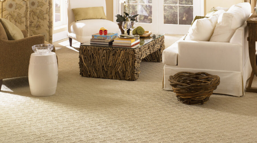 carpet cleaning|carpet cleaning services in london|carpet cleaning london|carpet cleaning in harrow